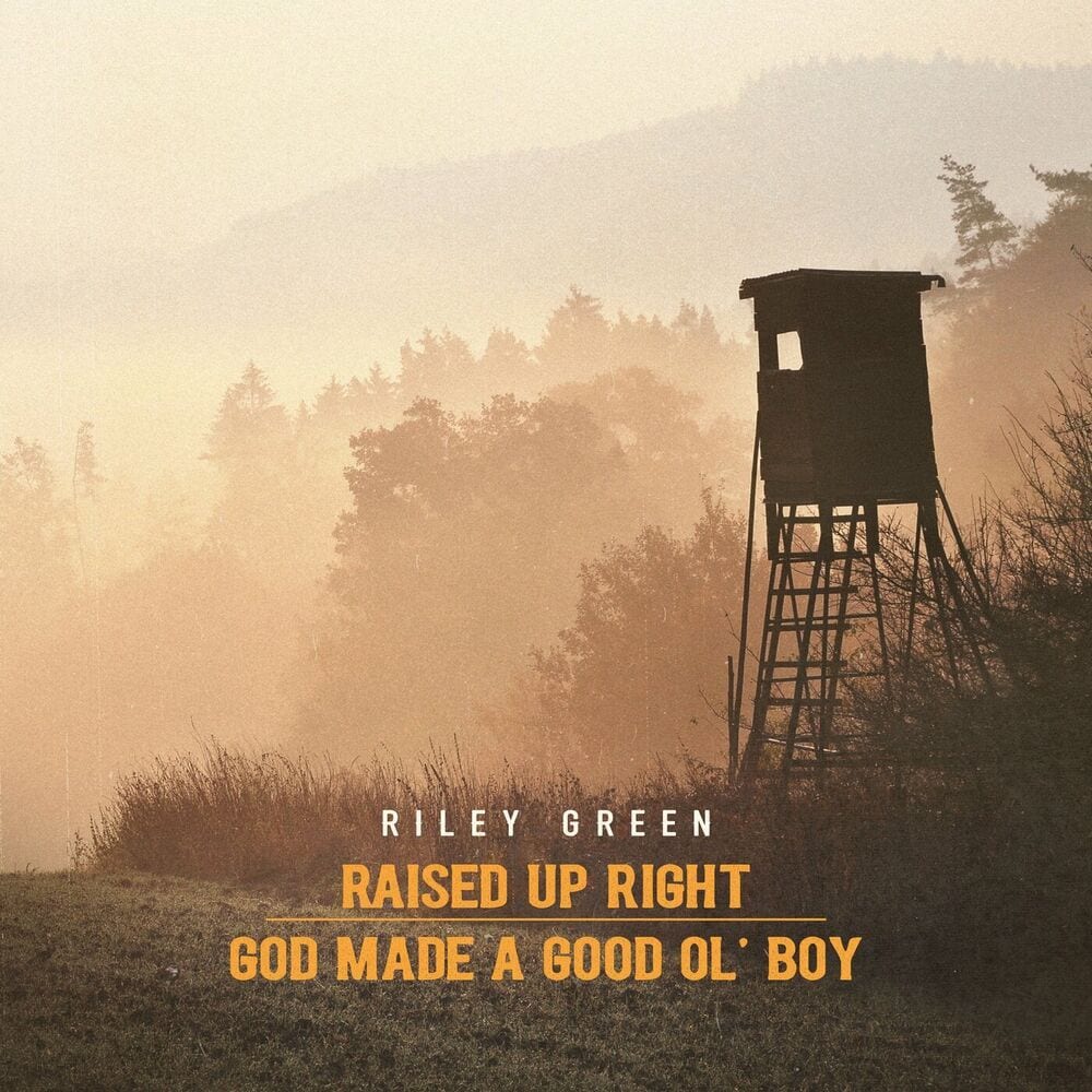 Raised Up Right cover