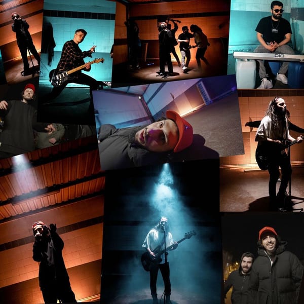 Kurbağa cover