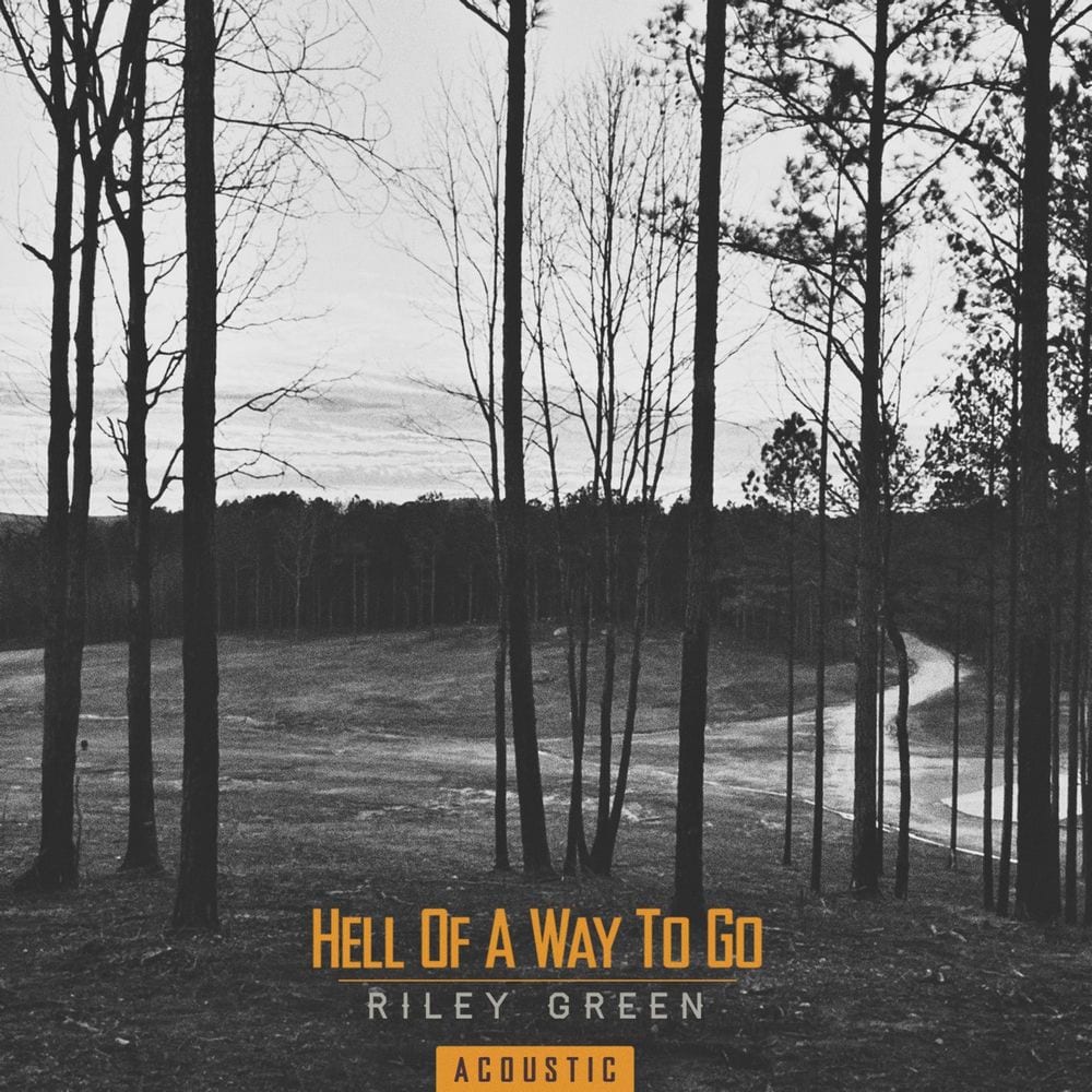 Hell Of A Way To Go (Acoustic) cover