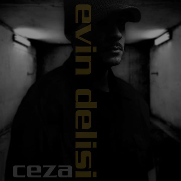 Evin Delisi album cover
