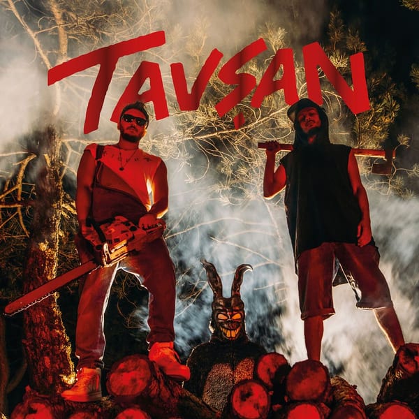 Tavşan cover