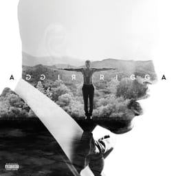 Trigga album cover