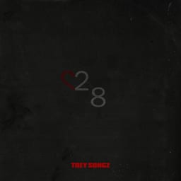 28 album cover