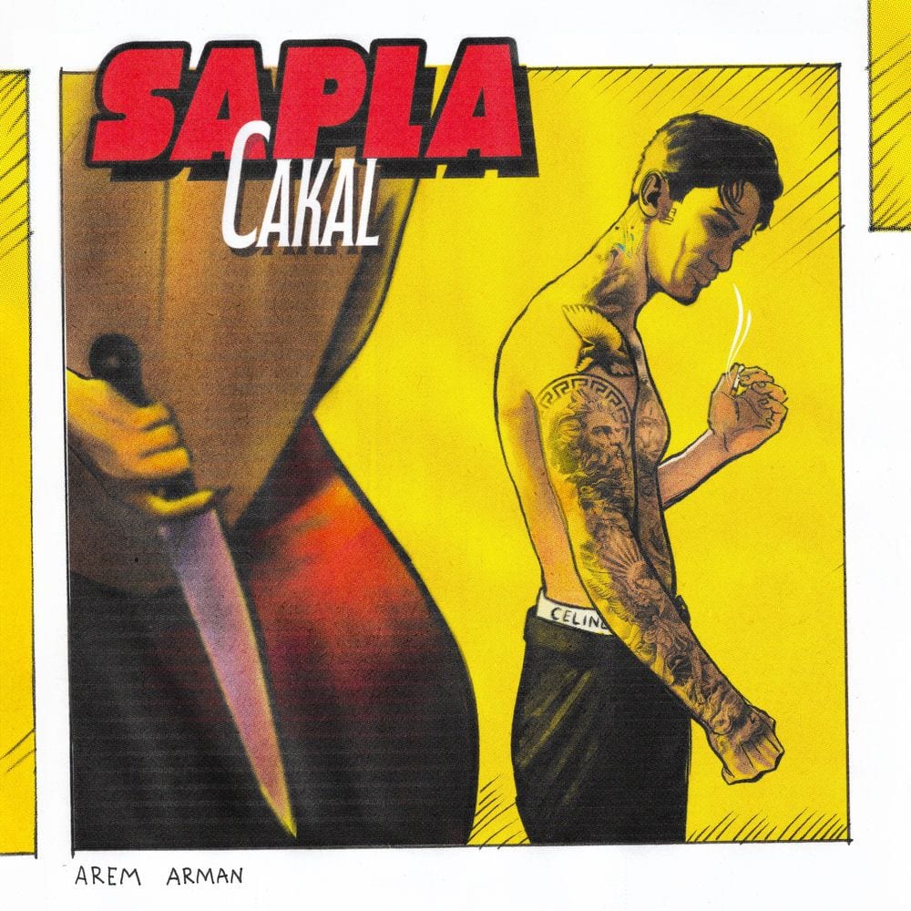 SAPLA cover