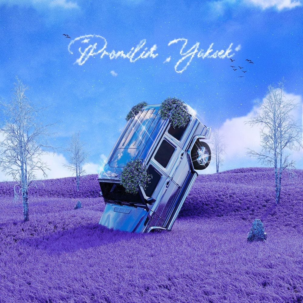 Promilim Yüksek cover