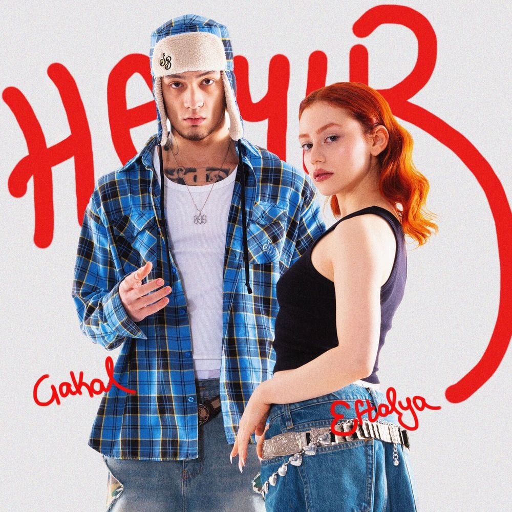 HAYIR cover
