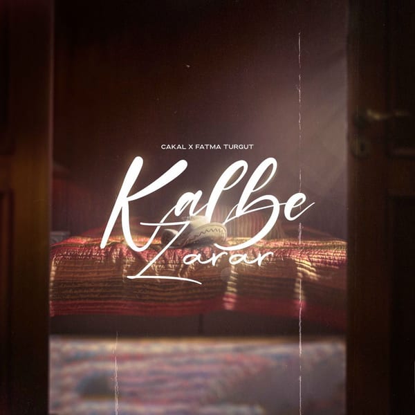 Kalbe Zarar cover