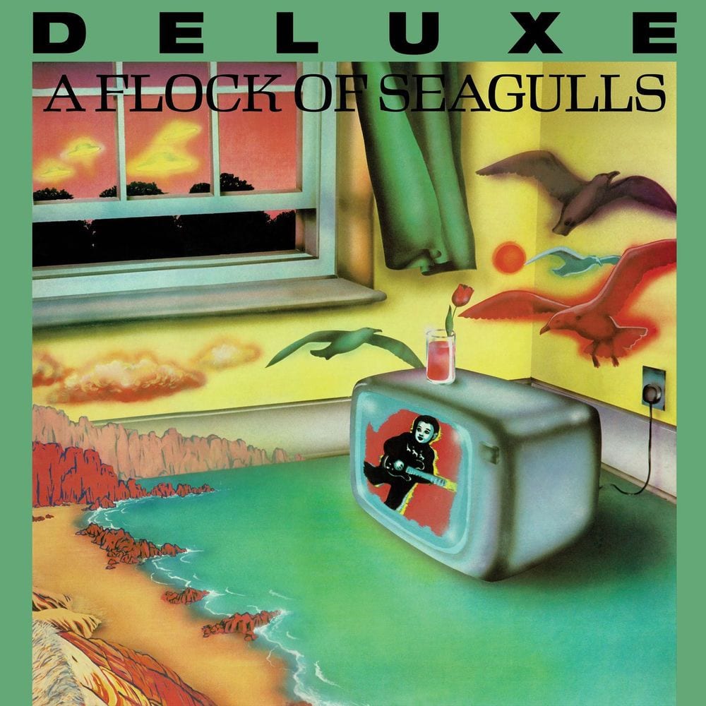 A Flock of Seagulls cover