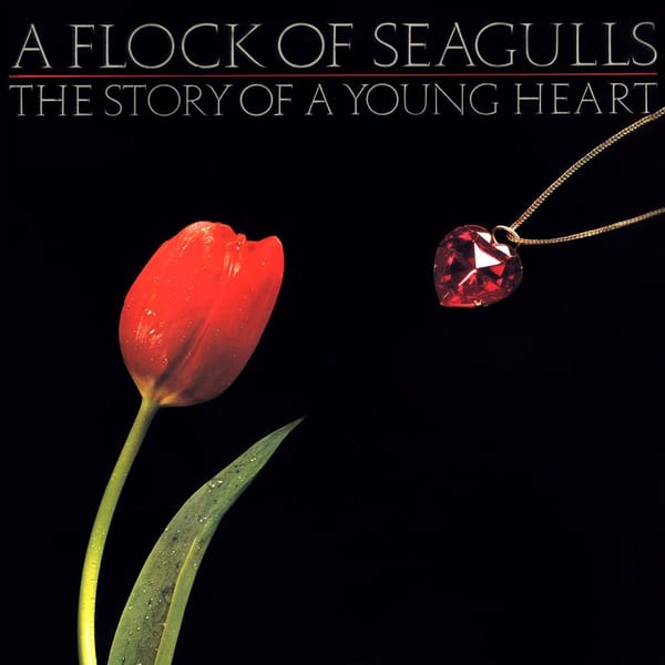 The Story of a Young Heart cover
