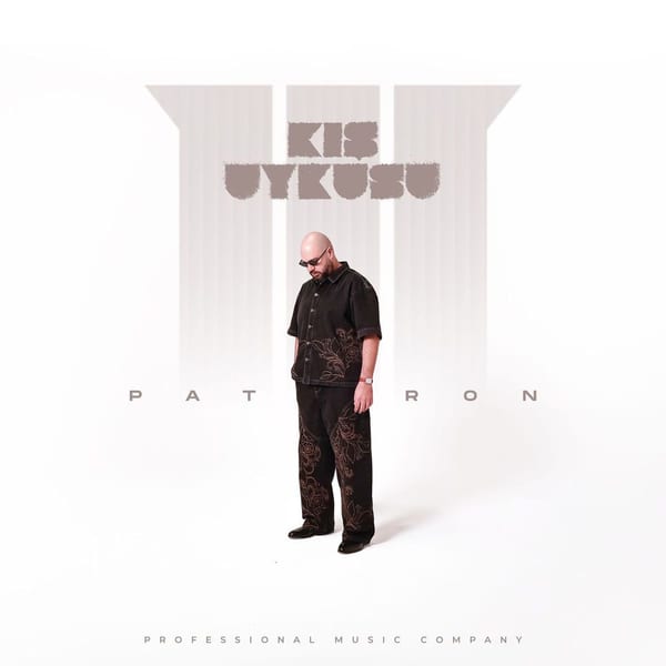 Kış Uykusu III cover