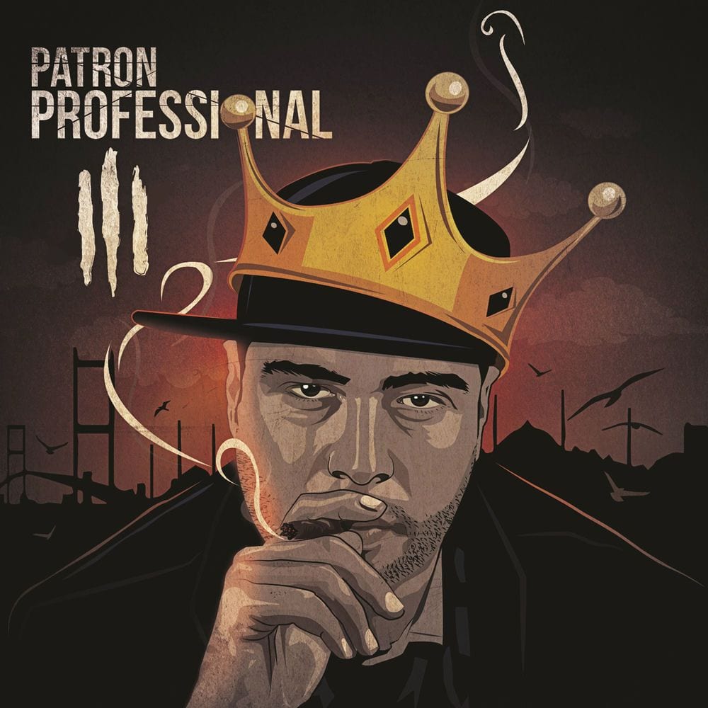 Professional 3 cover