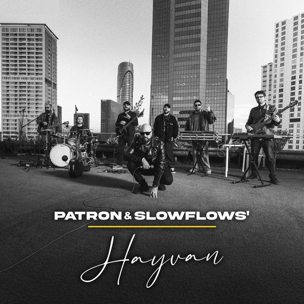 HAYVAN cover