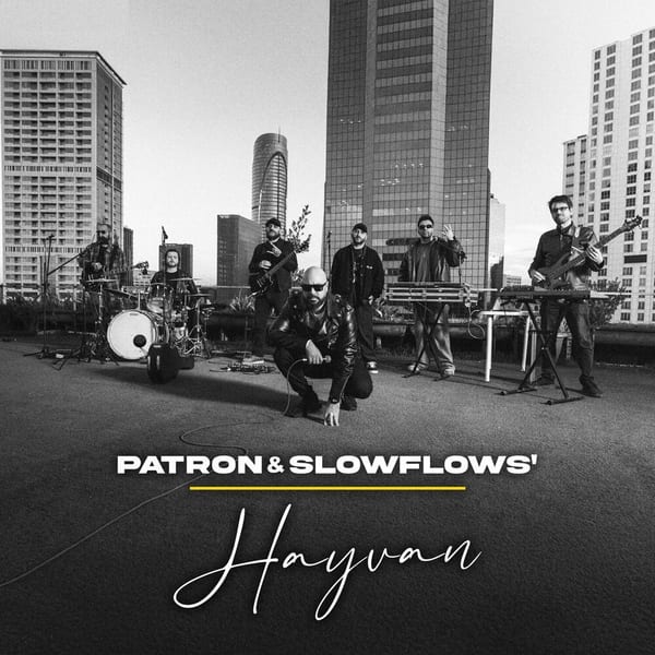 HAYVAN cover