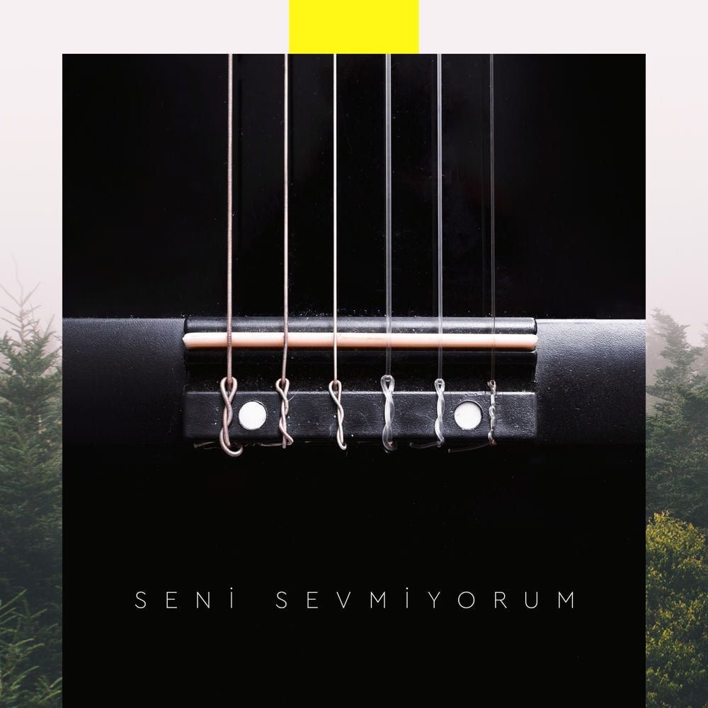 Seni Sevmiyorum cover