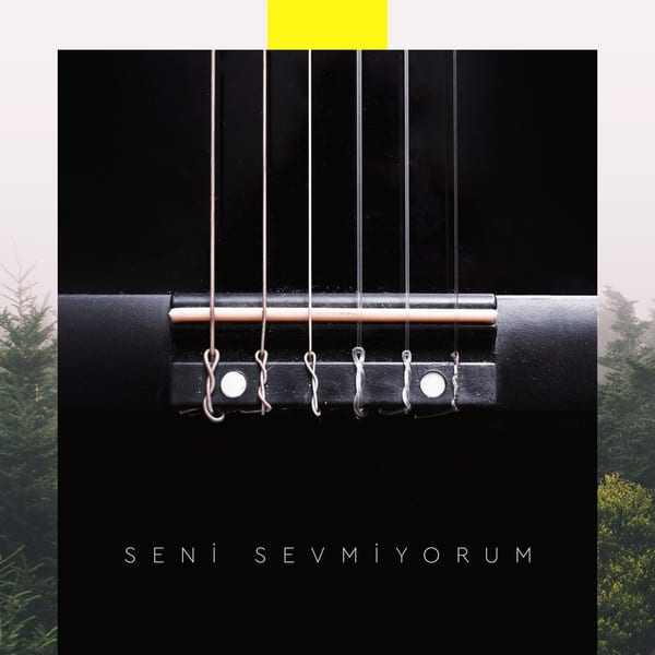 Seni Sevmiyorum cover