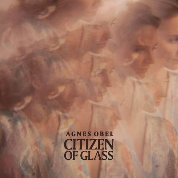 Citizen of Glass cover