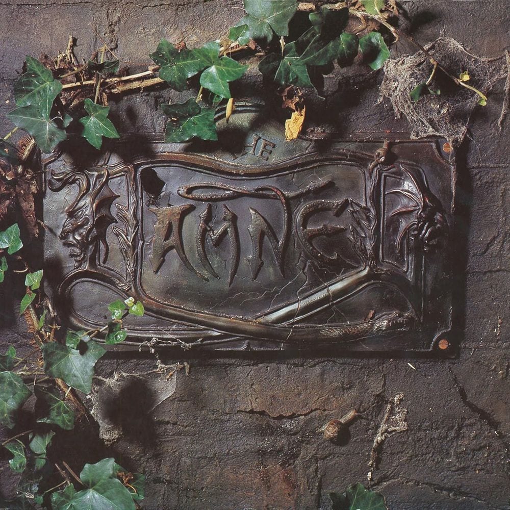 The Black Album cover