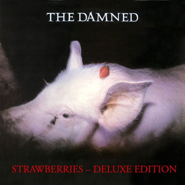 Strawberries cover