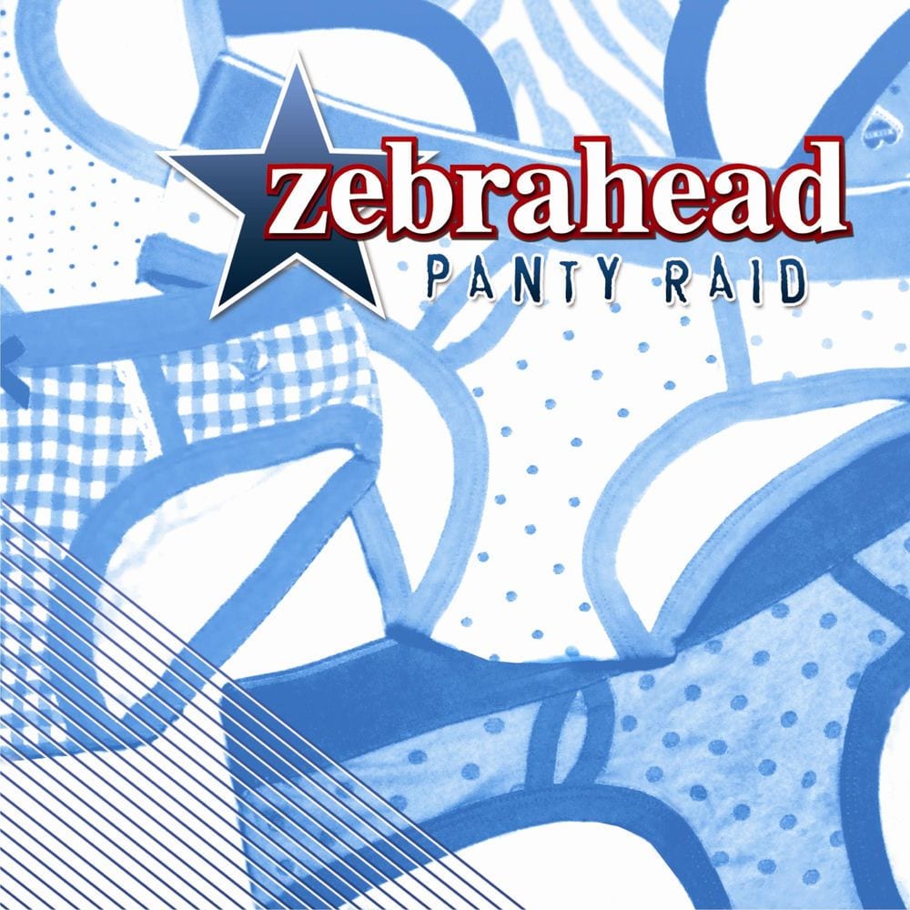 Panty Raid cover