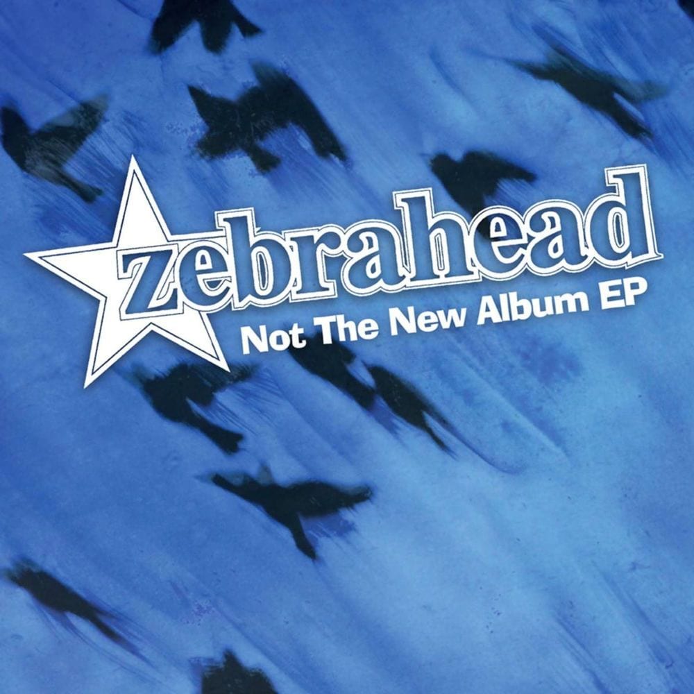 Not The New Album EP cover
