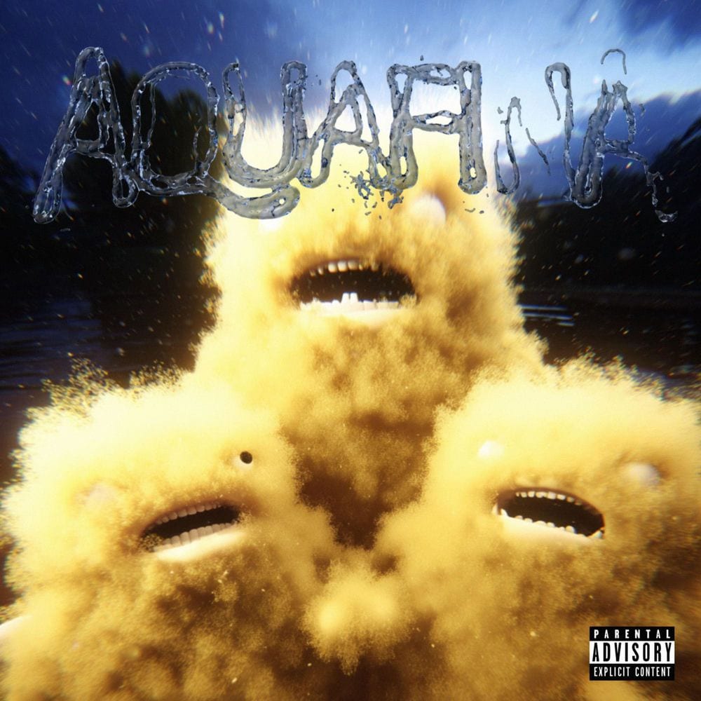 AQUAFINA cover