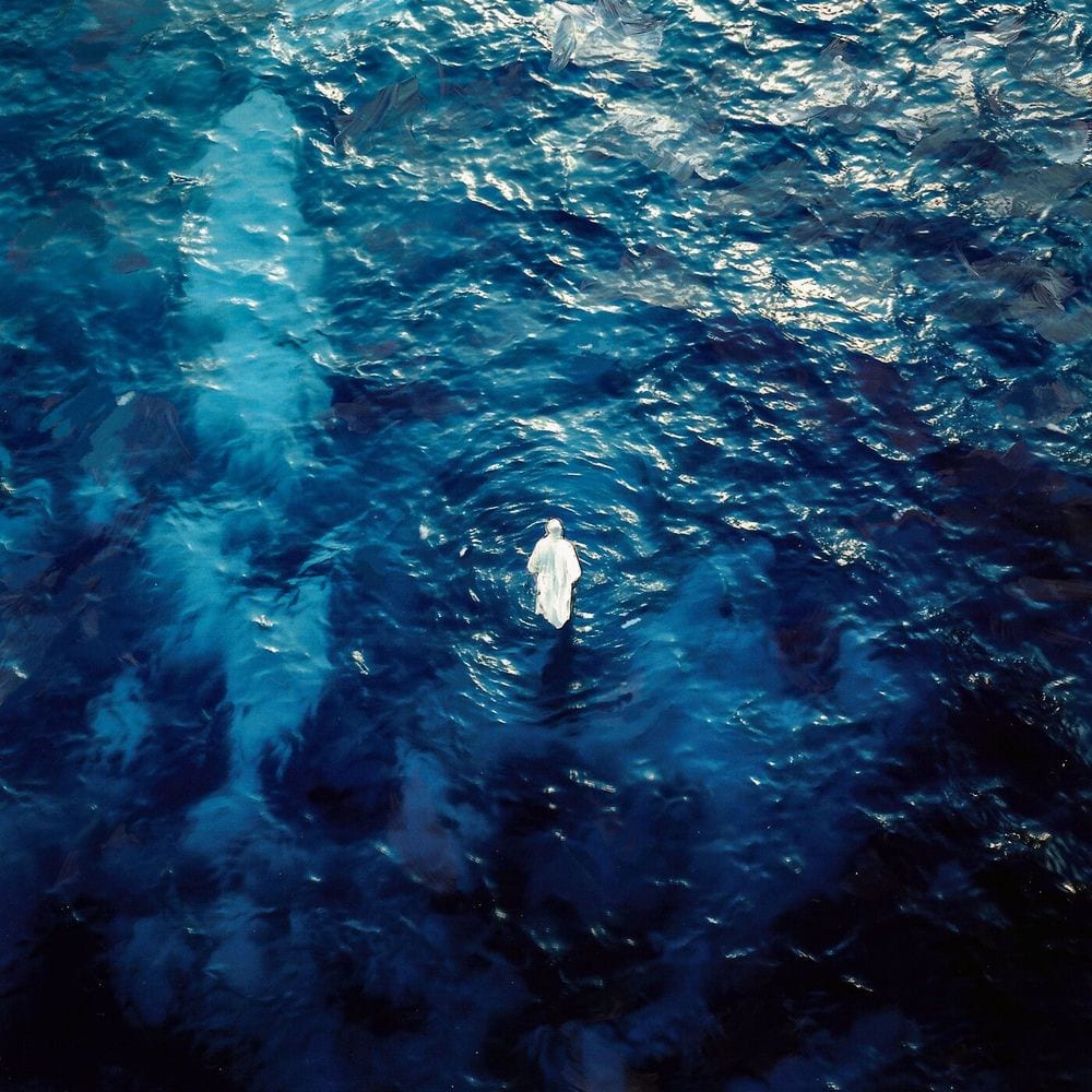 SURF cover