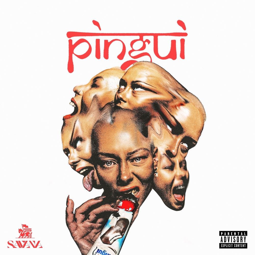 PINGUI cover