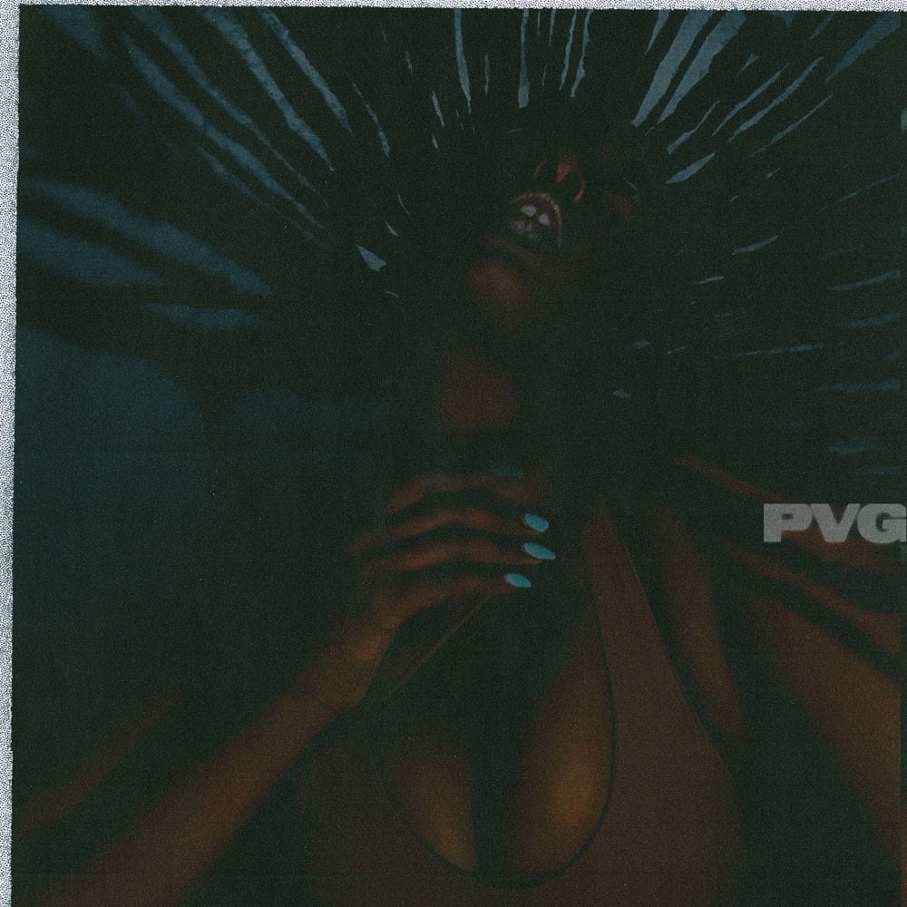 pVg cover