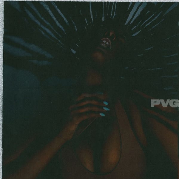 pVg cover