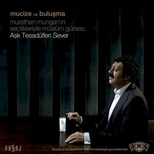 Mucize ve Buluşma: Aşk Tesadüfleri Sever cover