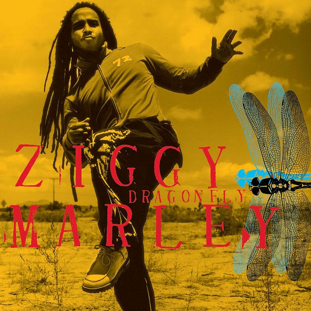 Dragonfly cover