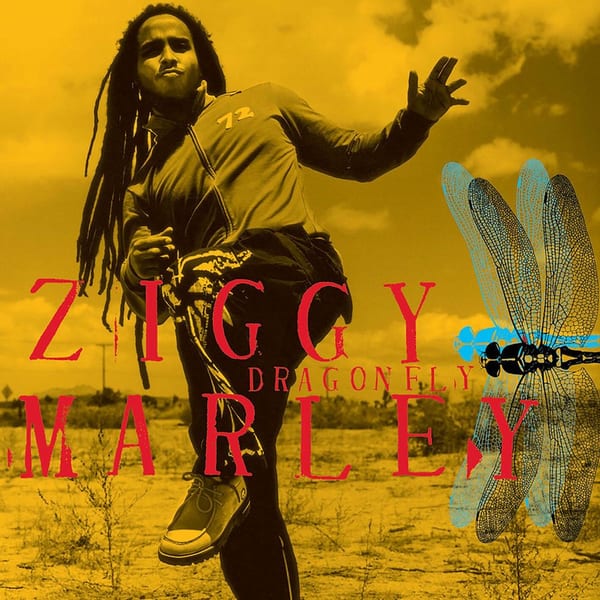 Dragonfly cover