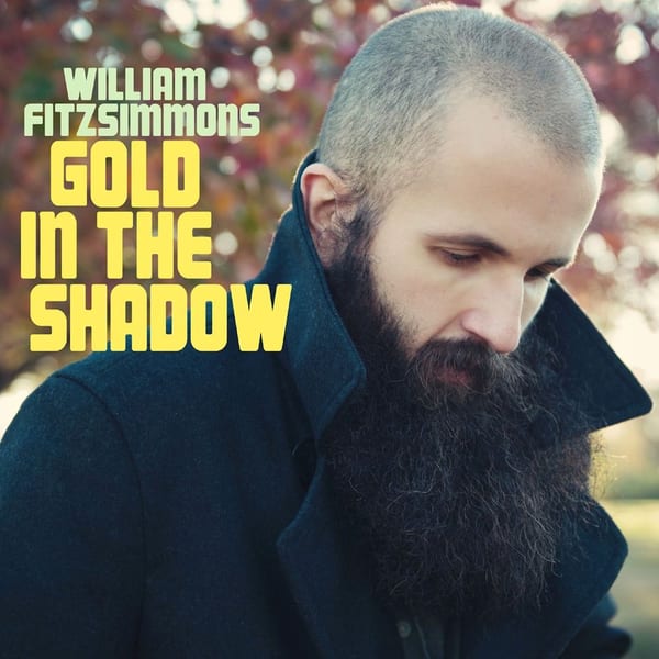 Gold in the Shadow cover