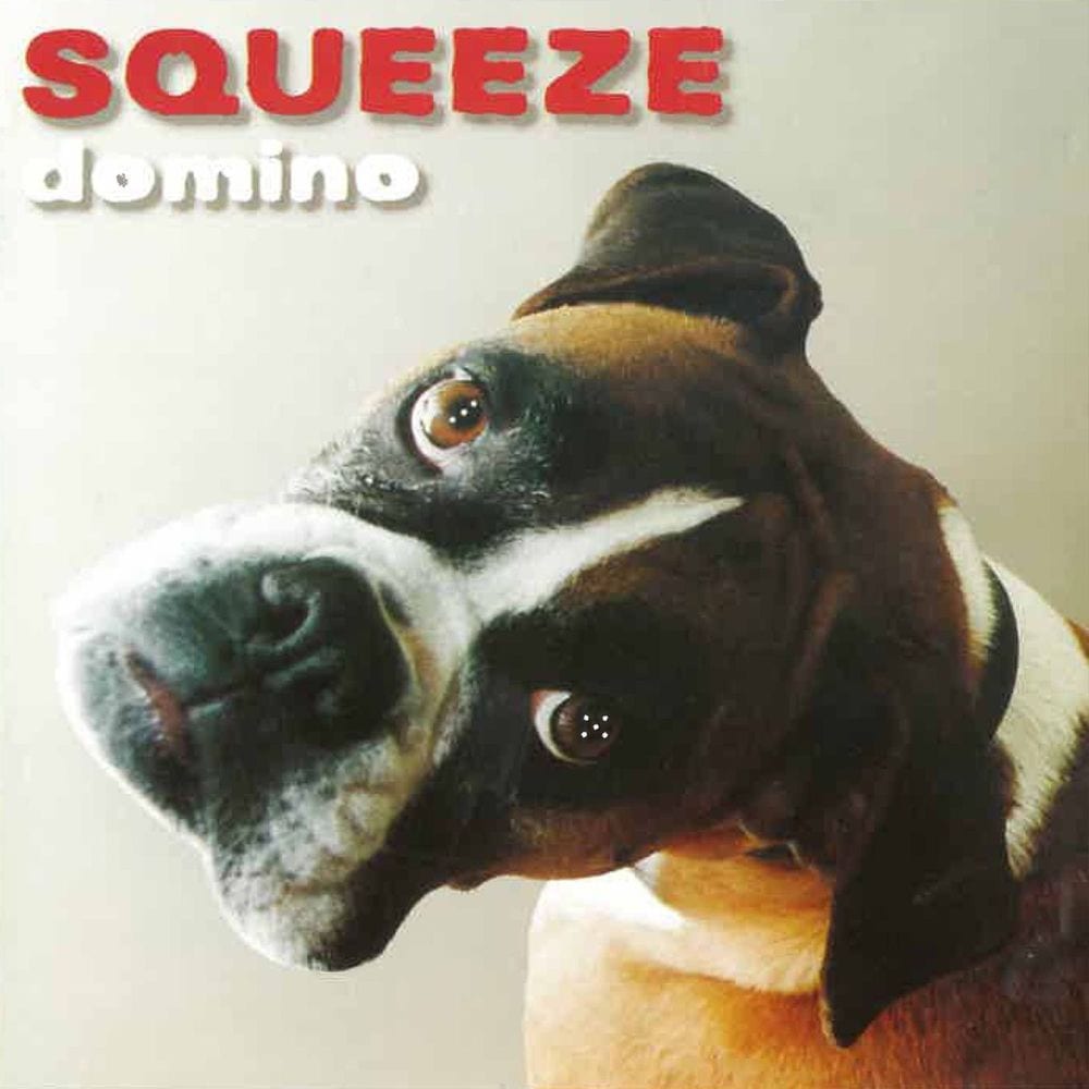 Domino