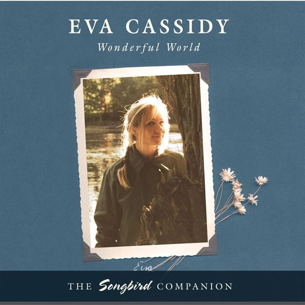 Wonderful World cover