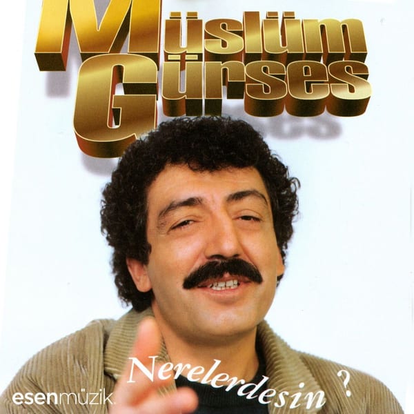 Nerelerdesin cover