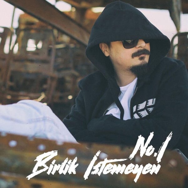 Birlik İstemeyen cover
