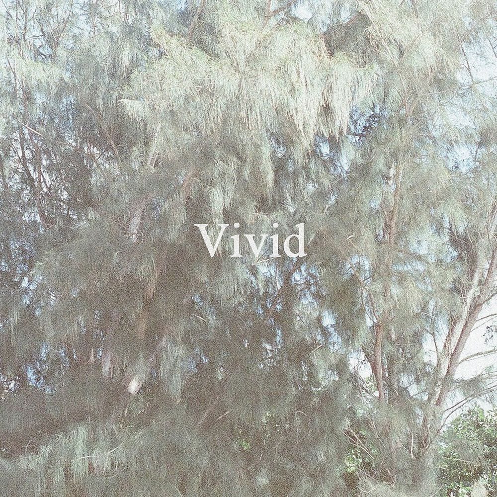 Vivid cover