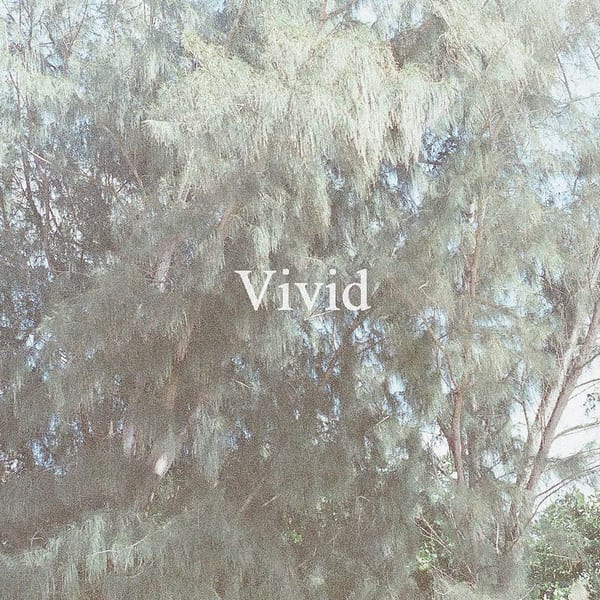 Vivid cover