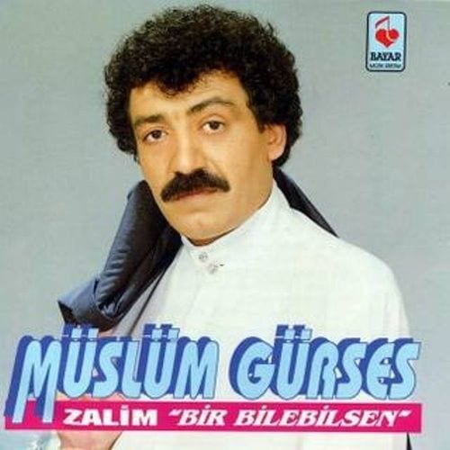 Bir Bilebilsen cover