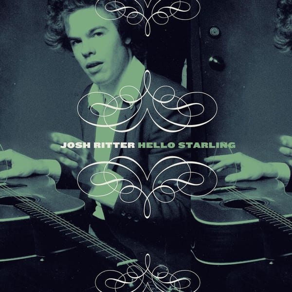 Hello Starling cover