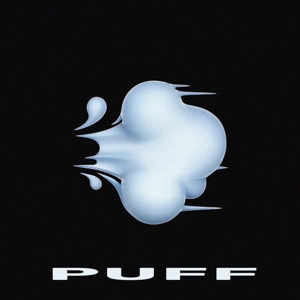 Puff cover