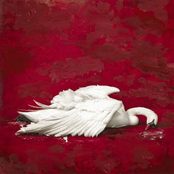 SEVGİ cover