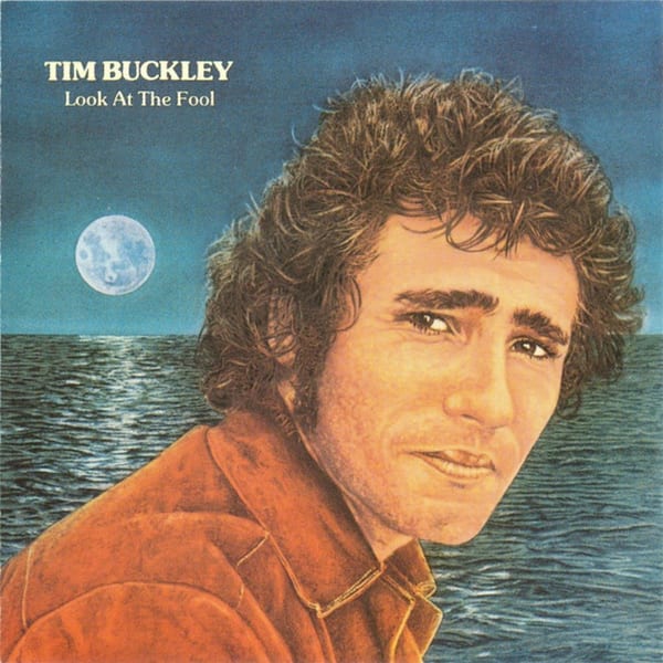Look at the Fool cover