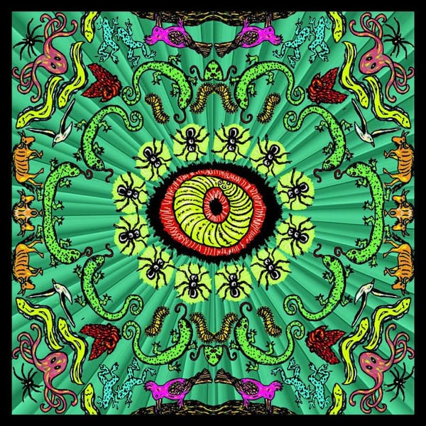Wilderness cover