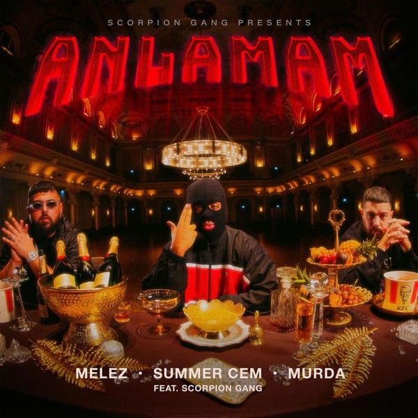 ANLAMAM (feat. Scorpion Gang) cover