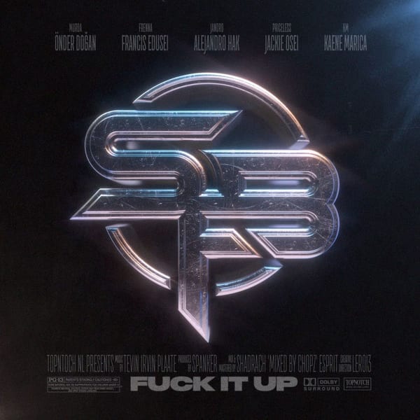 Fuck It Up cover