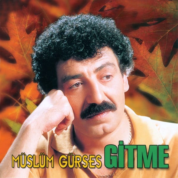Gitme cover