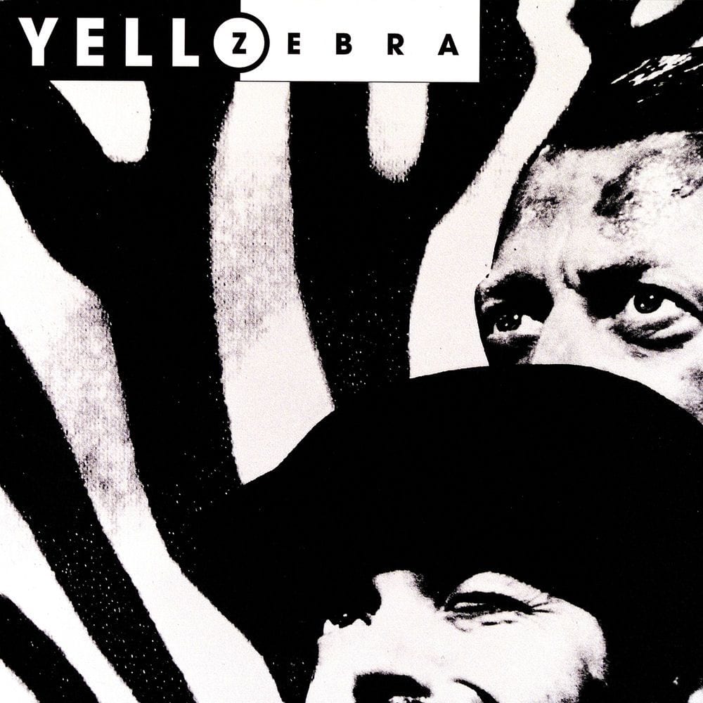 Zebra cover