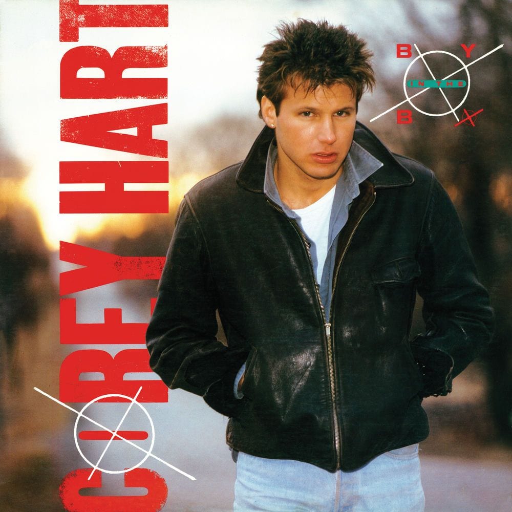 Boy in the Box cover